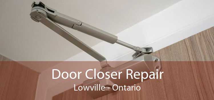Door Closer Repair Lowville - Ontario