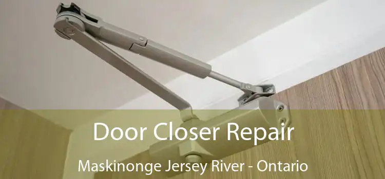 Door Closer Repair Maskinonge Jersey River - Ontario