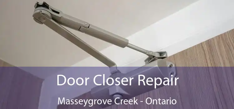 Door Closer Repair Masseygrove Creek - Ontario