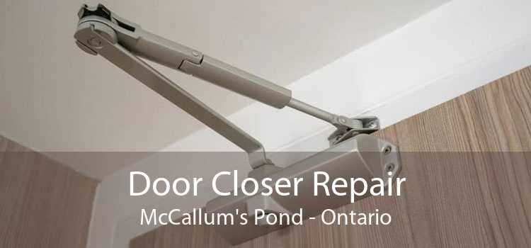 Door Closer Repair McCallum's Pond - Ontario