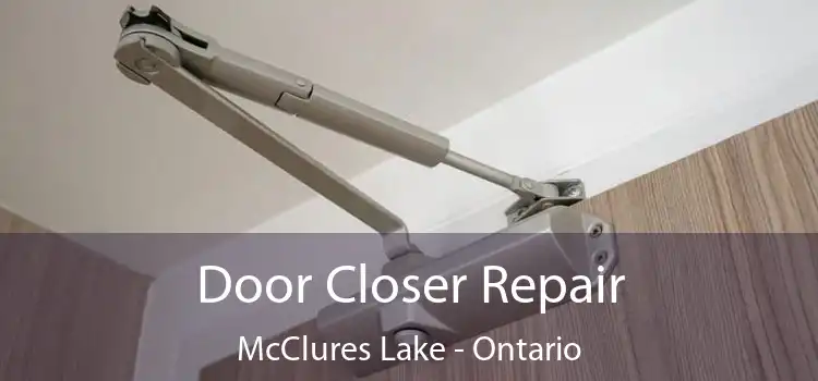 Door Closer Repair McClures Lake - Ontario