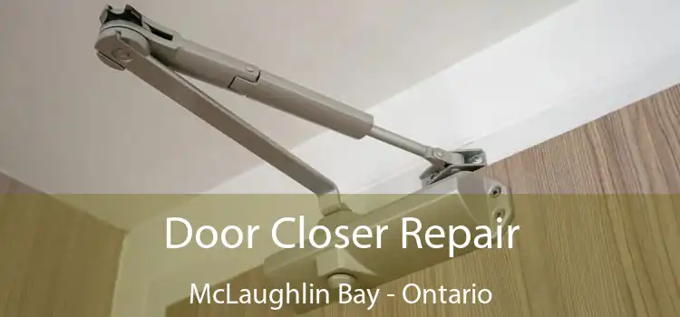 Door Closer Repair McLaughlin Bay - Ontario