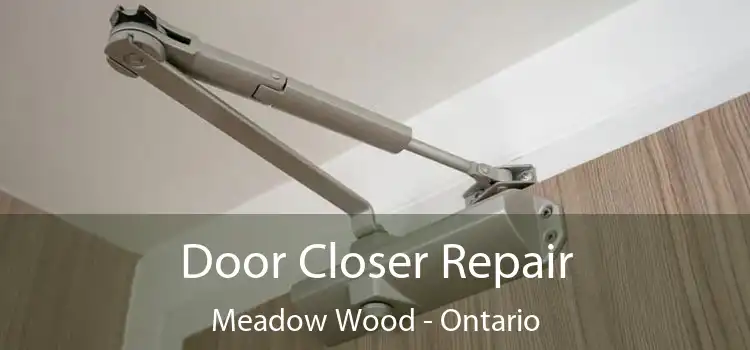 Door Closer Repair Meadow Wood - Ontario