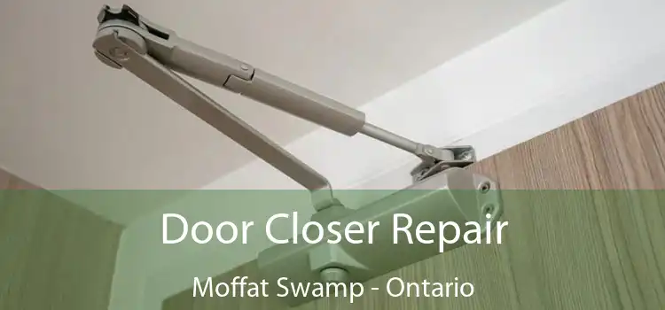 Door Closer Repair Moffat Swamp - Ontario