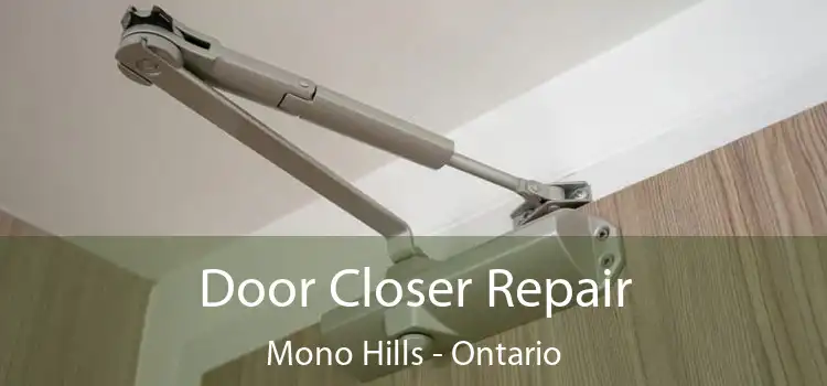 Door Closer Repair Mono Hills - Ontario