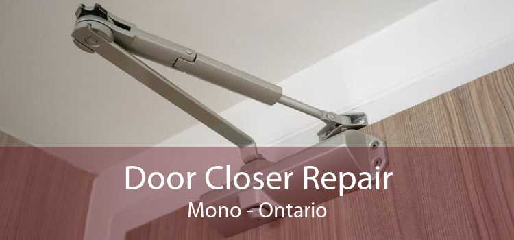 Door Closer Repair Mono - Ontario