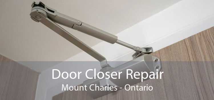 Door Closer Repair Mount Charles - Ontario