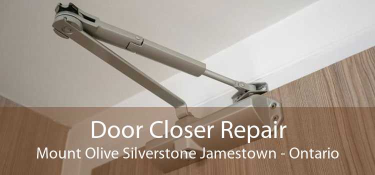 Door Closer Repair Mount Olive Silverstone Jamestown - Ontario