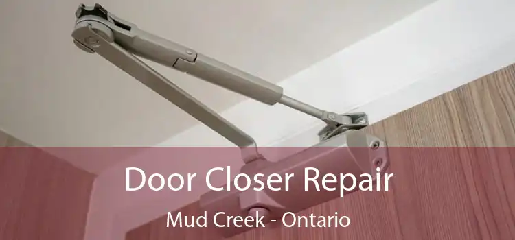 Door Closer Repair Mud Creek - Ontario