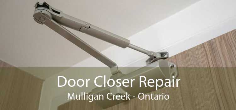 Door Closer Repair Mulligan Creek - Ontario