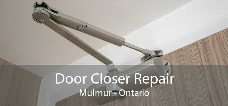 Door Closer Repair Mulmur - Ontario