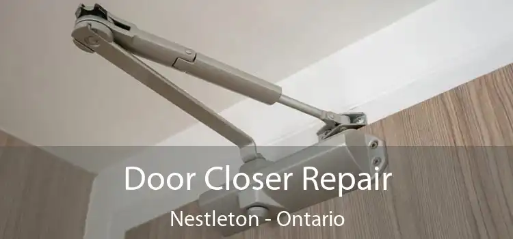 Door Closer Repair Nestleton - Ontario