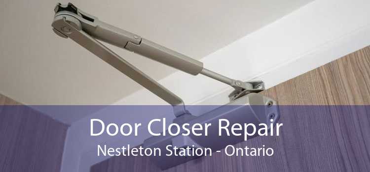Door Closer Repair Nestleton Station - Ontario