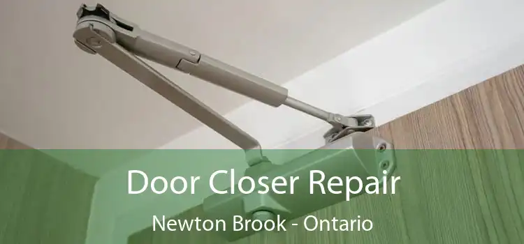 Door Closer Repair Newton Brook - Ontario