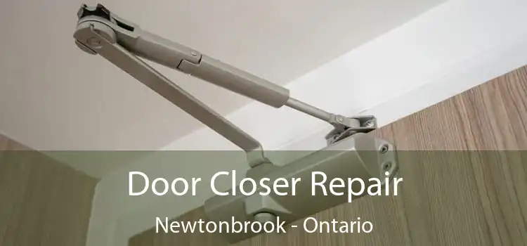 Door Closer Repair Newtonbrook - Ontario