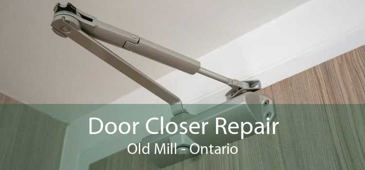 Door Closer Repair Old Mill - Ontario