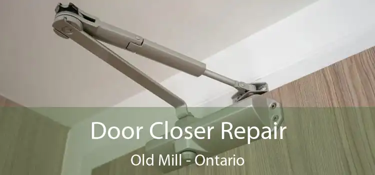 Door Closer Repair Old Mill - Ontario