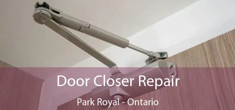 Door Closer Repair Park Royal - Ontario
