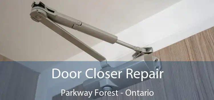 Door Closer Repair Parkway Forest - Ontario