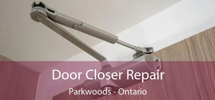 Door Closer Repair Parkwoods - Ontario