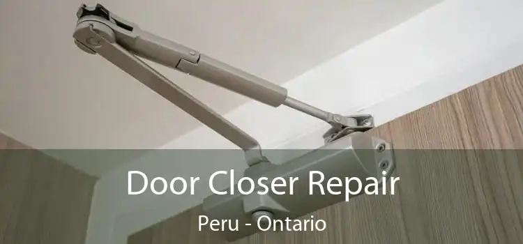 Door Closer Repair Peru - Ontario