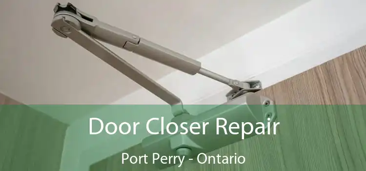 Door Closer Repair Port Perry - Ontario