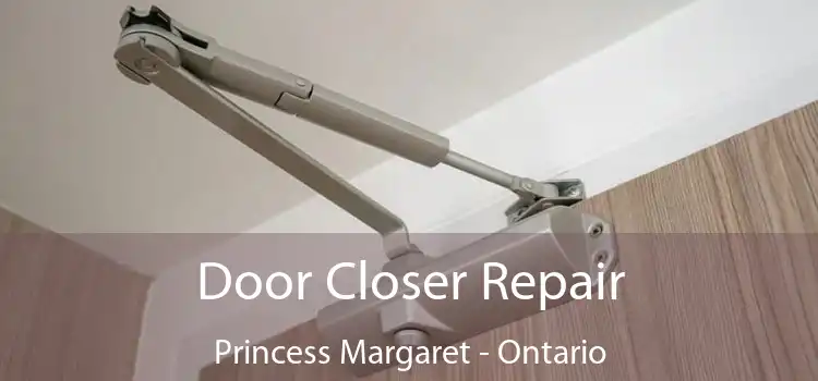 Door Closer Repair Princess Margaret - Ontario