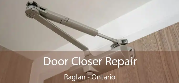 Door Closer Repair Raglan - Ontario