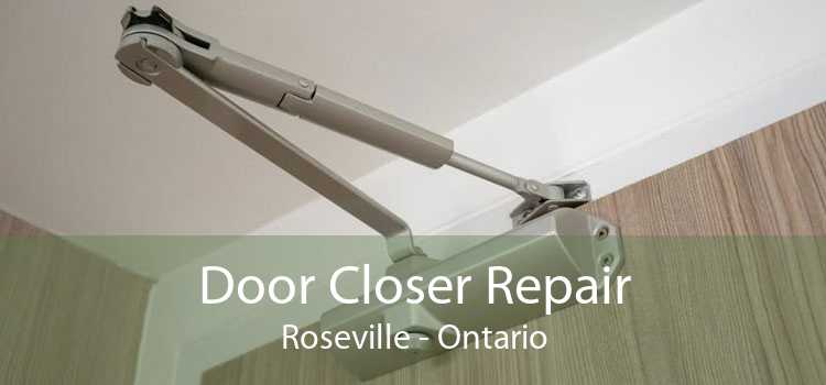 Door Closer Repair Roseville - Ontario