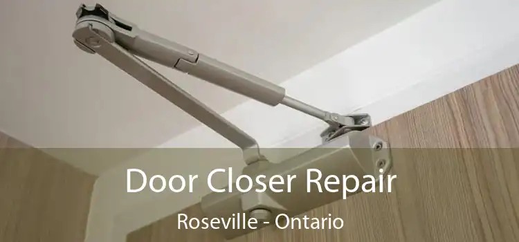 Door Closer Repair Roseville - Ontario