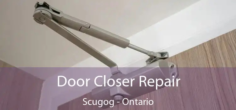 Door Closer Repair Scugog - Ontario