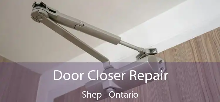Door Closer Repair Shep - Ontario