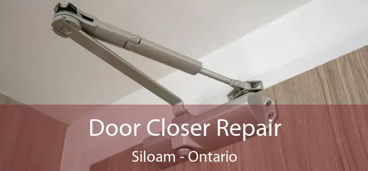 Door Closer Repair Siloam - Ontario