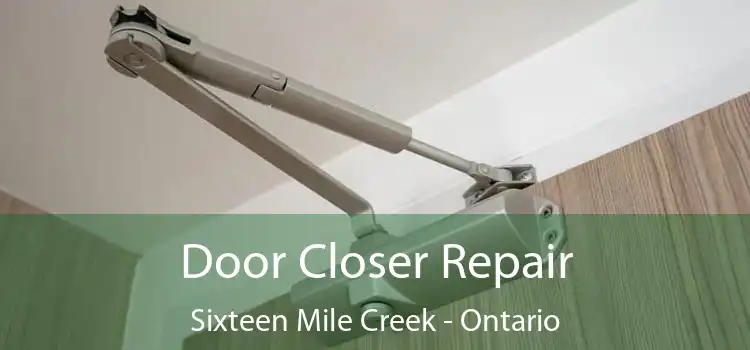 Door Closer Repair Sixteen Mile Creek - Ontario