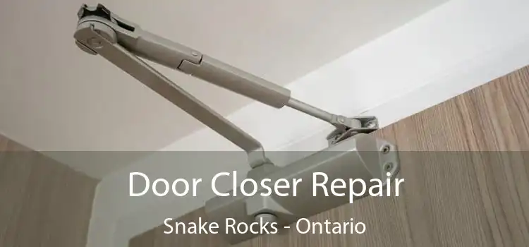 Door Closer Repair Snake Rocks - Ontario