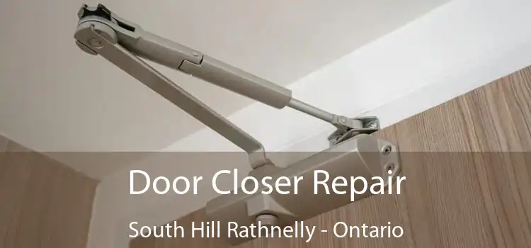 Door Closer Repair South Hill Rathnelly - Ontario