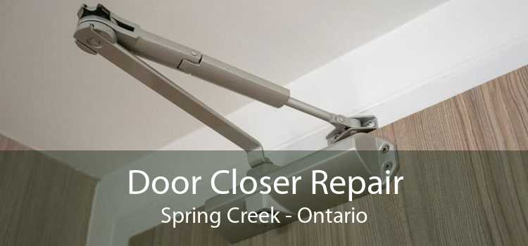Door Closer Repair Spring Creek - Ontario