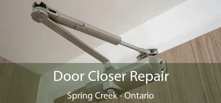 Door Closer Repair Spring Creek - Ontario