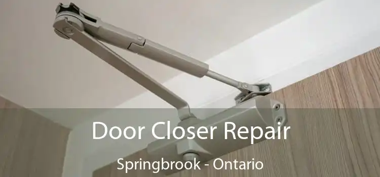 Door Closer Repair Springbrook - Ontario