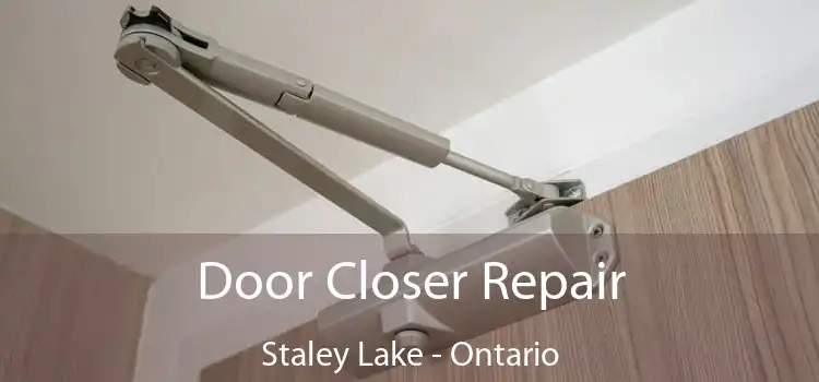 Door Closer Repair Staley Lake - Ontario