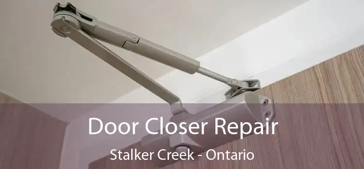 Door Closer Repair Stalker Creek - Ontario