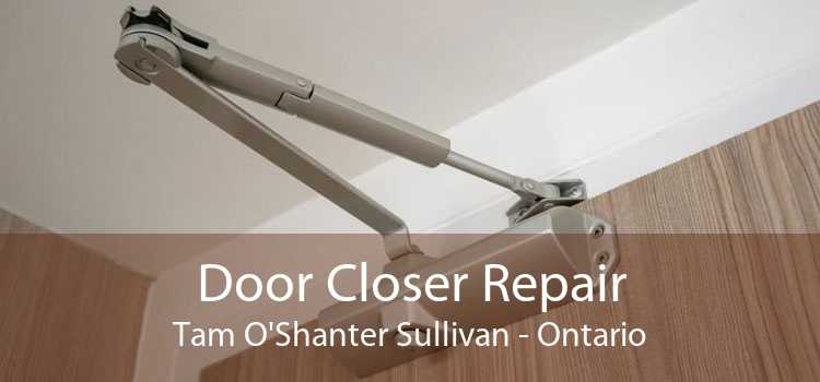 Door Closer Repair Tam O'Shanter Sullivan - Ontario