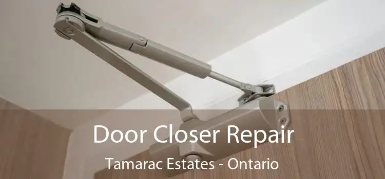 Door Closer Repair Tamarac Estates - Ontario