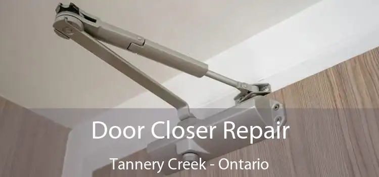 Door Closer Repair Tannery Creek - Ontario