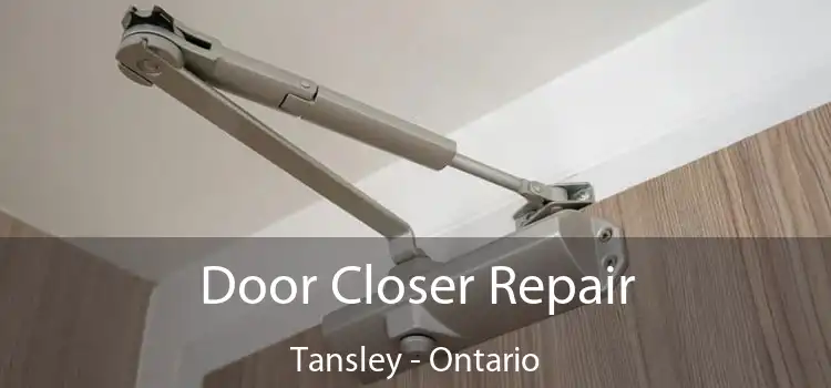 Door Closer Repair Tansley - Ontario