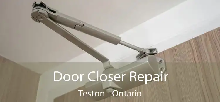 Door Closer Repair Teston - Ontario