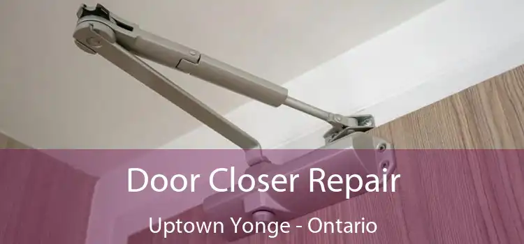 Door Closer Repair Uptown Yonge - Ontario