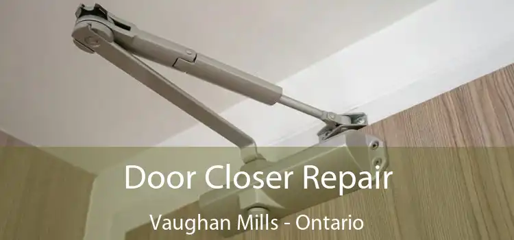 Door Closer Repair Vaughan Mills - Ontario