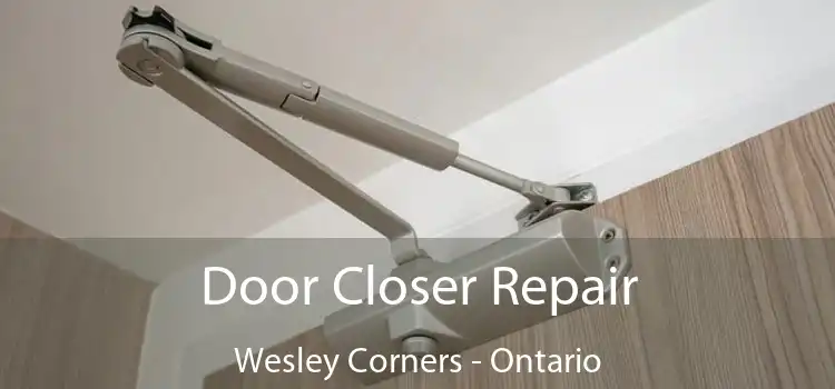 Door Closer Repair Wesley Corners - Ontario