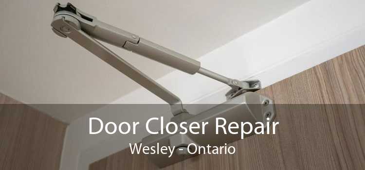 Door Closer Repair Wesley - Ontario
